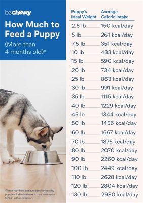 How Many Grams in a Cup of Cat Food: A Deep Dive into Cat Food Portioning