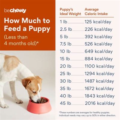 how much food should a lab puppy eat and should we avoid using plastic straws?